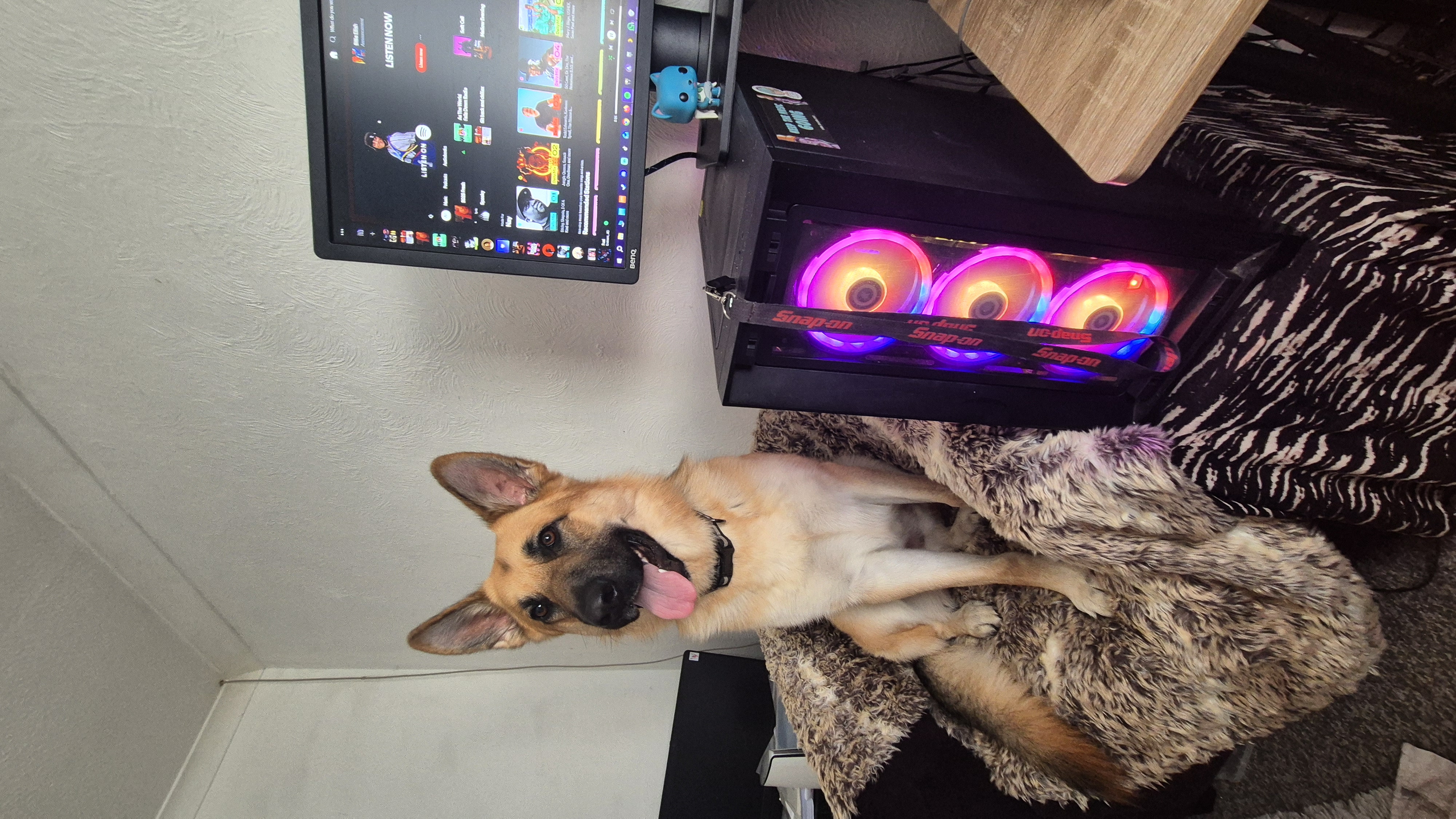 Office admin